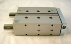 Dfm-32-100-p-a-gf 170860 Festo Guided Drive