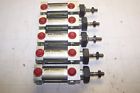Avt3-4x1-2-p-e Phd Tom Thumb Lot