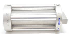 Ftm-17100-3 Bimba 38mm Bore 100mm Stroke Pneumatic Cylinder Ftm171003