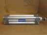 Dnu-32-100-ppv-a Festo Pneumatic Cylinder Stroke Bore