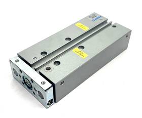 Dfm-16-55-b-p-a-kf Festo Guided Drive Cylinder 16mm Bore 55mm Stroke 529120