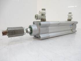 Dsbc-40-100-ppva-n3 Festo 1376660 Standard Cylinder 12 Bar L