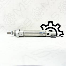 Esnu-25-50-p-a Festo Pneumatic Cylinder 25mm Bore 50mm Stroke Iso