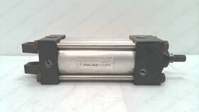 P1al-03a1j-baa2 Numatics Pneumatic Cylinder #336233
