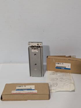 Cxsm15-75 Smc Pneumatic Guided Cylinder Dual Rod 0.7mpa - Free Shipping