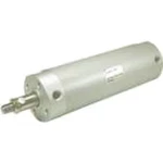 Speedaire NCDGBA50-1100 Cylinder, Mm Bore, Stroke, Round Body. Fixed Price $138.99.