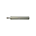 Smc CDG1BA50-250 Nsnp. Fixed Price $110.00.