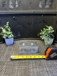 New Daman Header Manifold Aluminum 3000PSI Degree Two Station AH0900208S. Fixed Price $75.00.