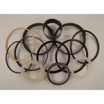 Hydraulic Cylinder Seal Kit Fits Case 1980181C2. Fixed Price $48.99.