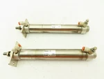 Smc CDM2B32-175 Pneumatic Air Cylinder 32MM Bore 175MM Stroke Lot Of. Fixed Price $47.99.