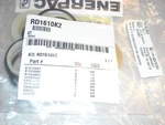 RD1610K2, Kit, Service Only-repair Enerpac, Oem Part. Fixed Price $218.31.
