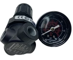 Norgren R07-100-RGEA Regulator 300 Psig W/ Diaphragm Gauge R07100RGEA. Fixed Price $42.38.