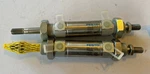 Lot Of Festo DSNU-25-20-P-A-S2-S6-R3 Round Cylinder, 193991 U108, Pmax Bar. Fixed Price $85.00.